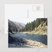 Carte Postale Saumon River Été (Devant / Derrière)