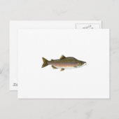 Carte Postale Saumon rose (Devant / Derrière)