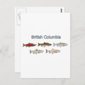 Carte Postale Saumon sauvage (Devant / Derrière)