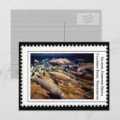 Carte Postale Saumon Washington (Devant / Derrière)