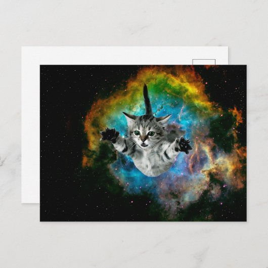 Carte Postale Saut de chats dans l'espace (Devant / Derrière)