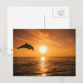 Carte Postale Saut de dauphin à vertige (Devant / Derrière)