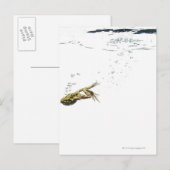 Carte Postale saut de grenouille et plongée dans l'eau (Devant / Derrière)