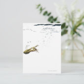 Carte Postale saut de grenouille et plongée dans l'eau (Debout devant)