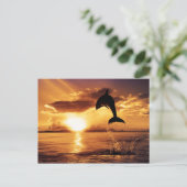 Carte Postale Saut de soleil (Debout devant)