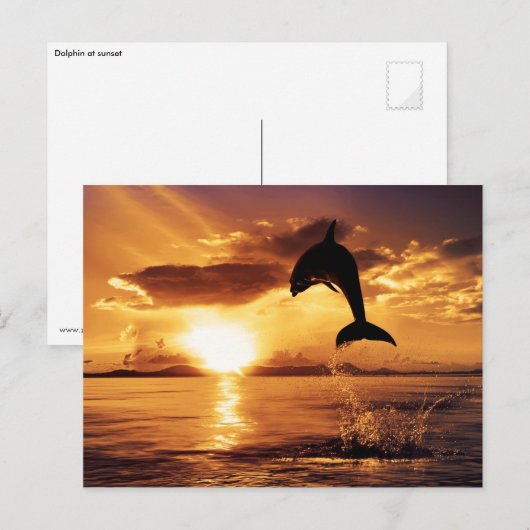 Carte Postale Saut de soleil (Devant / Derrière)