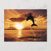 Carte Postale Saut de soleil (Devant)