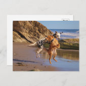 Carte Postale Sauter de joie ! (Devant / Derrière)