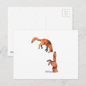 Carte Postale Sauter Renard Rouge (Devant / Derrière)