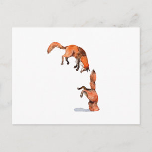 Carte Postale Sauter Renard Rouge