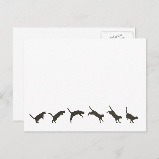 Carte Postale Sauts de chats (Devant / Derrière)