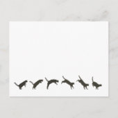 Carte Postale Sauts de chats (Devant)