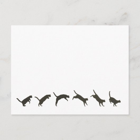 Carte Postale Sauts de chats (Devant)