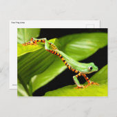 Carte Postale Sauts de grenouille à arbre (Devant / Derrière)