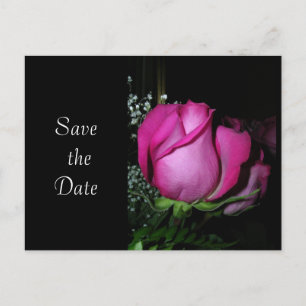 Carte Postale Sauvegarder La Date