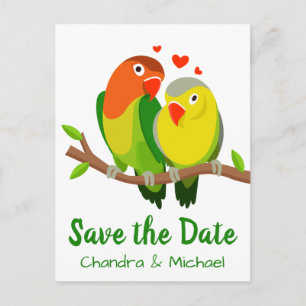 Carte Postale Sauver La Date Amoureux Perroquets Verts Mariage F