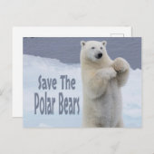 Carte Postale Sauver les ours polaires (Devant / Derrière)