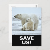 Carte Postale Sauver les ours polaires slogan d'activisme climat (Devant / Derrière)