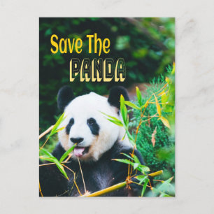 Carte Postale Sauvez Le Panda