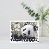 Carte Postale Sauvez Le Panda Géant (Debout devant)