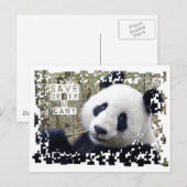 Carte Postale Sauvez Le Panda Géant (Devant / Derrière)