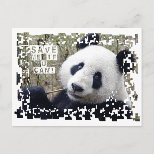 Carte Postale Sauvez Le Panda Géant (Devant)