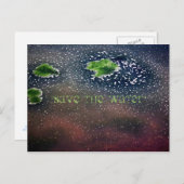 Carte Postale "Sauvez l'eau" (Devant / Derrière)