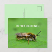 Carte Postale Sauvez les abeilles (Devant / Derrière)