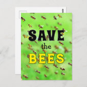 Carte Postale Sauvez les abeilles  (Devant / Derrière)