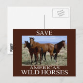 Carte Postale Sauvez les chevaux sauvages (Devant / Derrière)