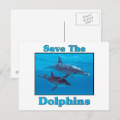 Carte Postale Sauvez les dauphins (Devant / Derrière)
