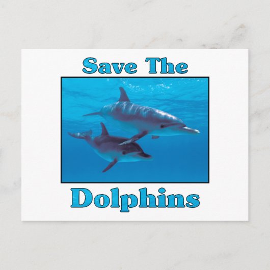 Carte Postale Sauvez les dauphins (Devant)