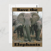 Carte Postale Sauvez les éléphants (Devant / Derrière)