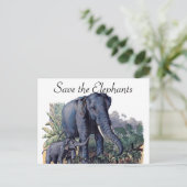 Carte Postale Sauvez les éléphants (Debout devant)