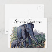 Carte Postale Sauvez les éléphants (Devant / Derrière)