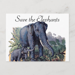 Carte Postale Sauvez les éléphants