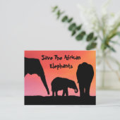 Carte Postale Sauvez les éléphants africains (Debout devant)