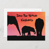 Carte Postale Sauvez les éléphants africains (Devant / Derrière)