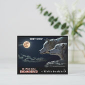 CARTE POSTALE SAUVEZ LES LOUPS ! - (Debout devant)