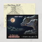 CARTE POSTALE SAUVEZ LES LOUPS ! - (Devant / Derrière)