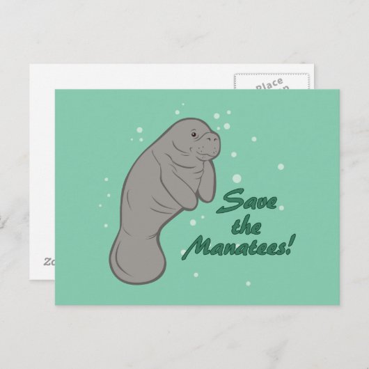 Carte Postale Sauvez les Manatees ! (Devant / Derrière)