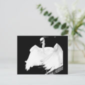 Carte Postale Sauvez les oiseaux de Floride (Debout devant)