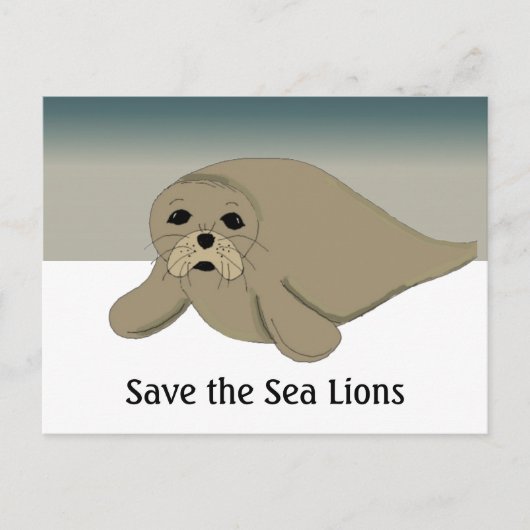 Carte Postale Sauvez les Otaries (Devant)