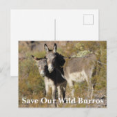 Carte Postale Sauvez nos Burros sauvages (Devant / Derrière)