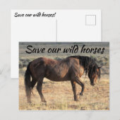 Carte Postale Sauvez nos chevaux sauvages (Devant / Derrière)
