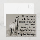 Carte Postale Sauvez nos chevaux sauvages (Devant / Derrière)