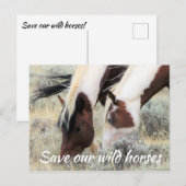 Carte Postale Sauvez nos chevaux sauvages (Devant / Derrière)