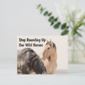 Carte Postale Sauvez nos chevaux sauvages (Debout devant)