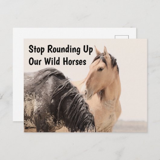 Carte Postale Sauvez nos chevaux sauvages (Devant / Derrière)