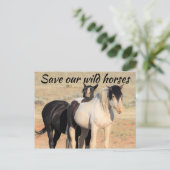 Carte Postale Sauvez nos chevaux sauvages (Debout devant)